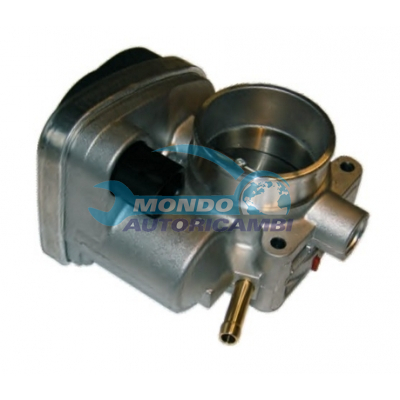 THROTTLE BODY