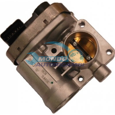 THROTTLE BODY