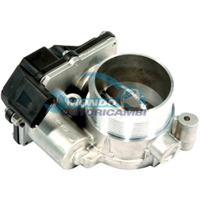 THROTTLE BODY