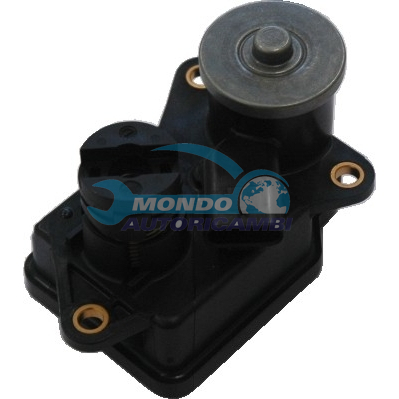THROTTLE BODY