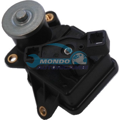 THROTTLE BODY