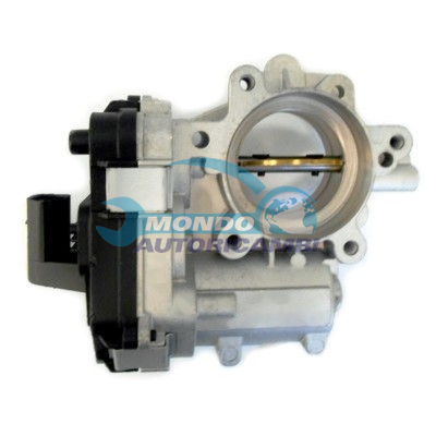 THROTTLE BODY