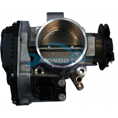 THROTTLE BODY