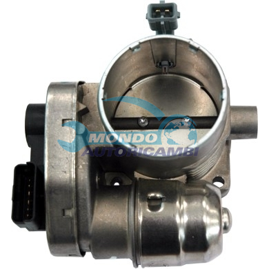 THROTTLE BODY
