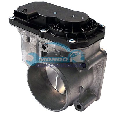 THROTTLE BODY