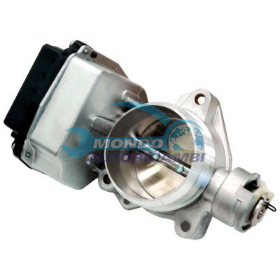 THROTTLE BODY