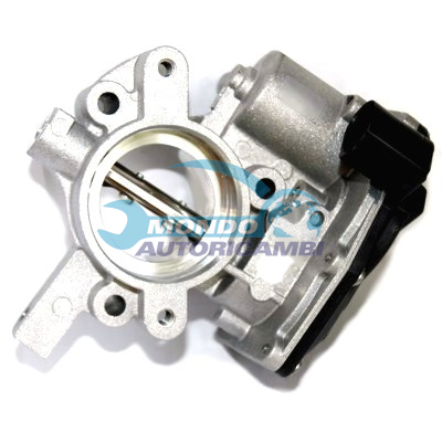 THROTTLE BODY