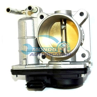 THROTTLE BODY