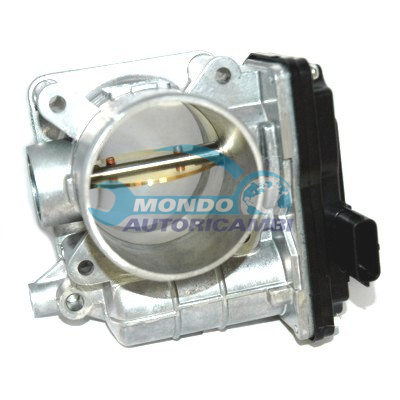 THROTTLE BODY