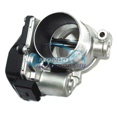 THROTTLE BODY