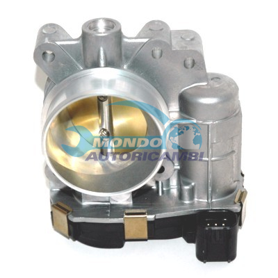 THROTTLE BODY