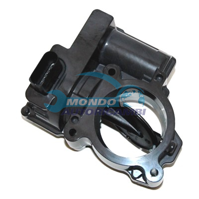THROTTLE BODY