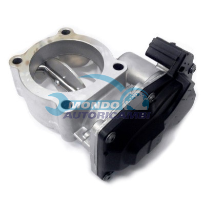 Throttle body