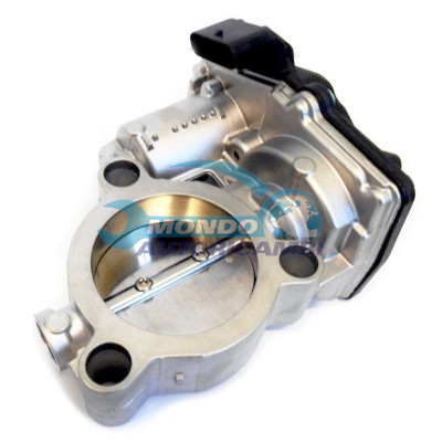 Throttle body