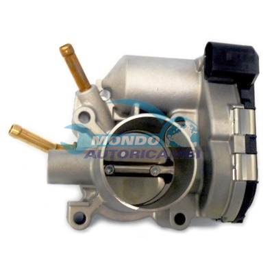 Throttle body