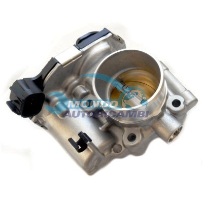 Throttle body