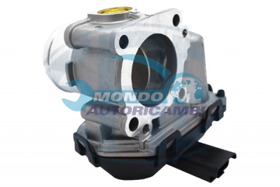Throttle bodies