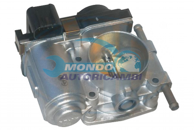Throttle bodies