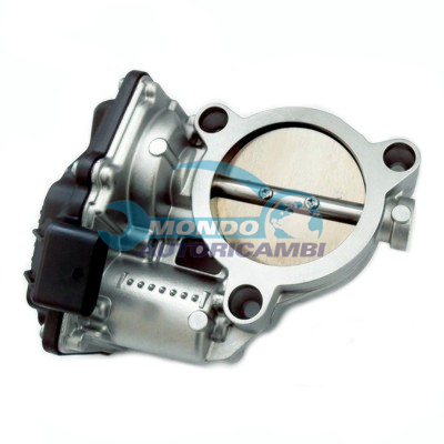 Throttle body