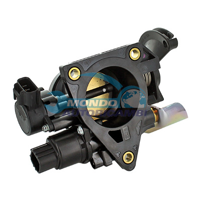 Throttle body