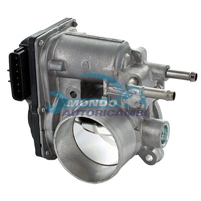 Throttle body