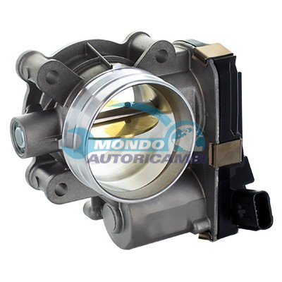 Throttle body