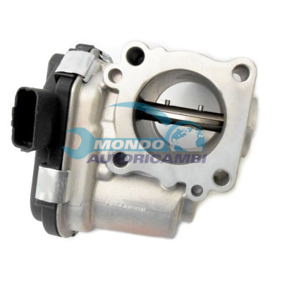 Throttle body