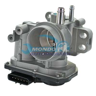 Throttle body
