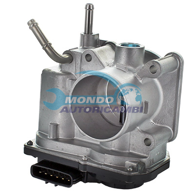 Throttle body