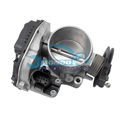 Throttle body