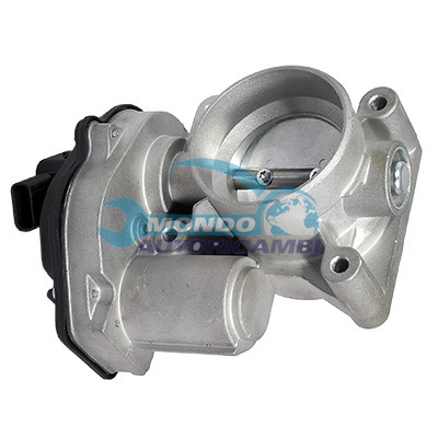 Throttle body