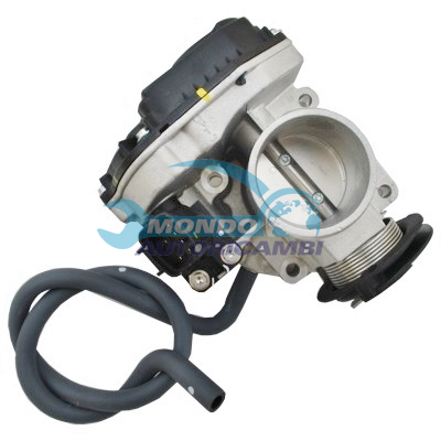 Throttle body