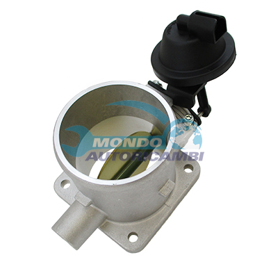 Throttle body