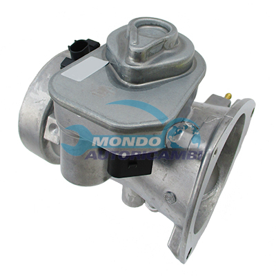 Throttle body