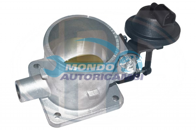 Throttle bodies