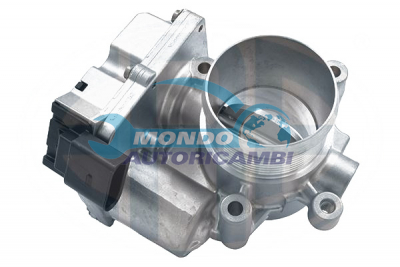 Throttle bodies