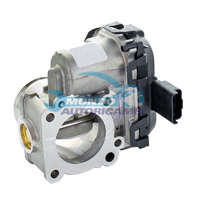 Throttle body