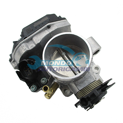 Throttle body
