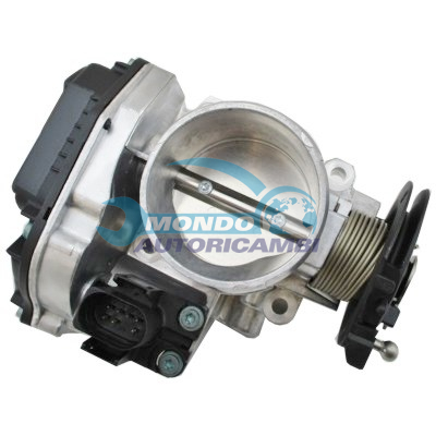 Throttle body