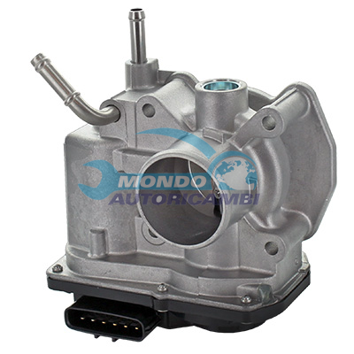 Throttle body