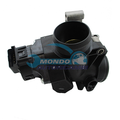Throttle body