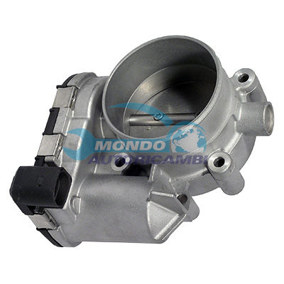 Throttle body