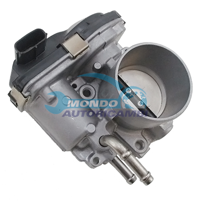 Throttle body