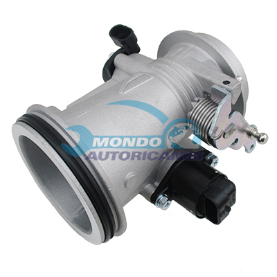 Throttle body