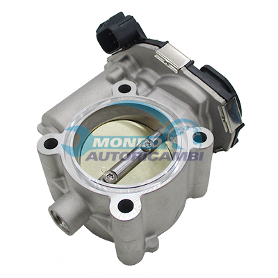Throttle body