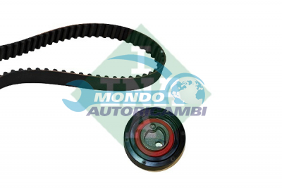 Timing Belt Kit