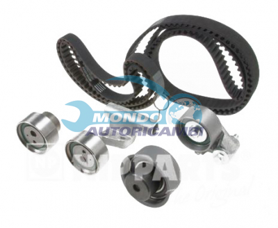 Kit Cinghie Dentate