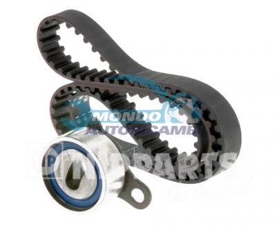 Kit Cinghie Dentate