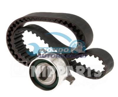 Kit Cinghie Dentate