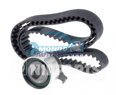 Kit Cinghie Dentate